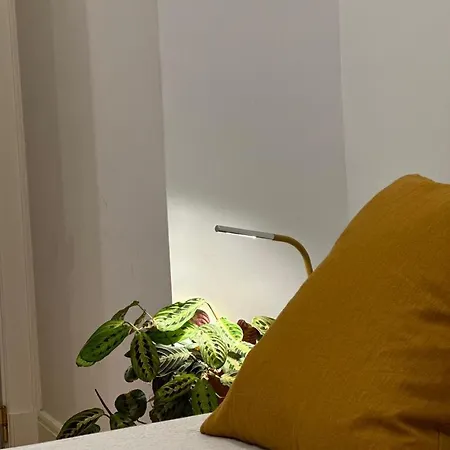 Habitación en casa particular Com Banheiro Privativo Em